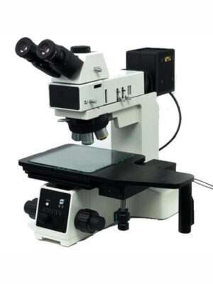 Sollicitudin Aliquam